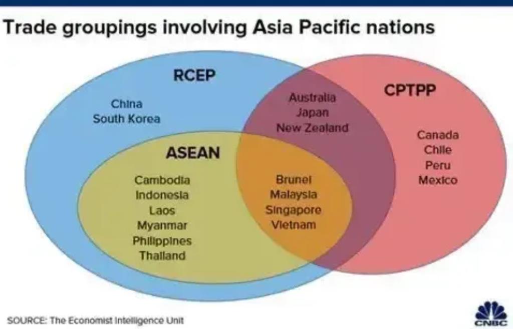 为阻止中国加入CPTPP日澳给中方立下规矩
 近日中国加入CPTPP被告知需要满