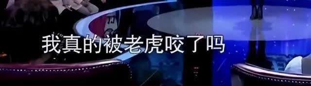 八达岭老虎咬人事件真的很让人唏嘘。赵菁因为误判下了车，结果母亲为救她被老虎咬死。