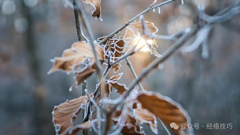 刮一个泻火大穴，把肝脏的火气清一清，闷气怒气自然就散了！