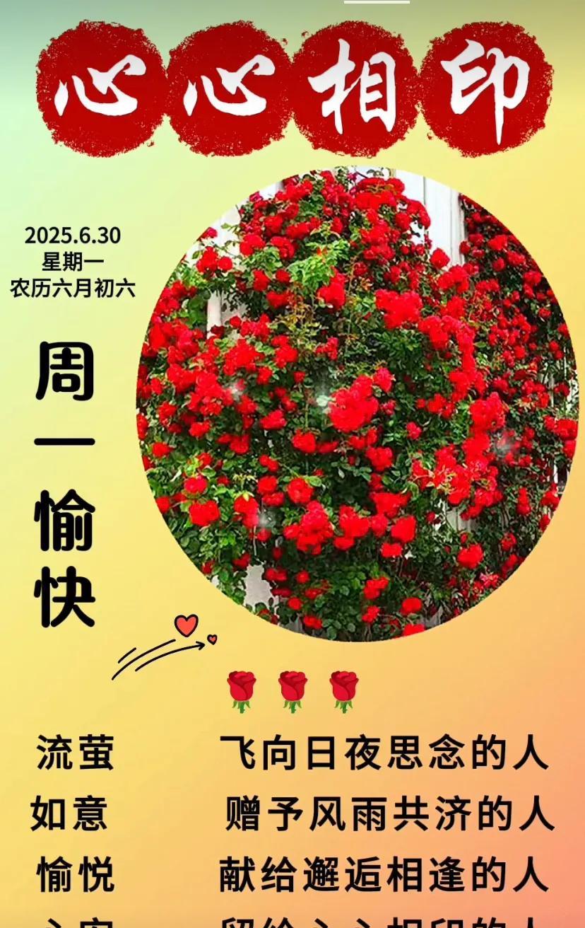 六月再见，七月你好！愿下半年逆风翻盘，好运来袭！