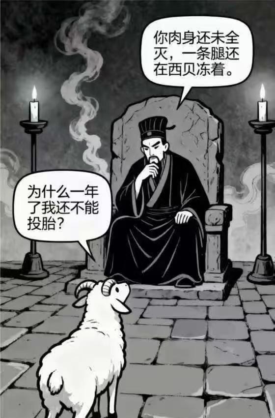 “只有客人是现宰的”这句话还在升华……
