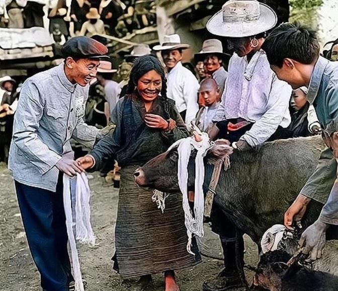 1959年，西藏堆龙德庆县南岗村，一位农奴姑娘分得了一头母牛和小牛崽，照片中可以