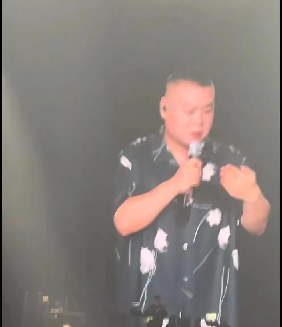 抢凤凰传奇演唱会的票，争先恐后，看到付款框出来，都兴奋，喊抢到了抢到了！
抢岳云