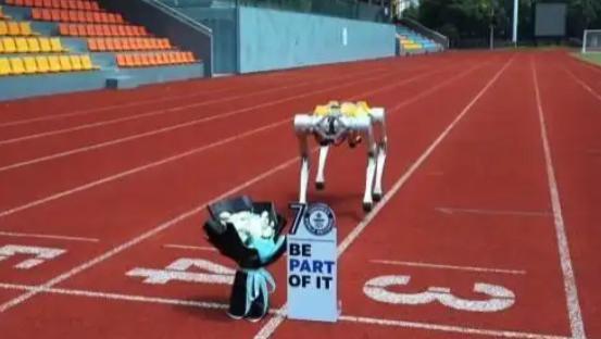 国内首款模块化四足机器人-Apollo 从“白犀”吉尼斯纪录走来