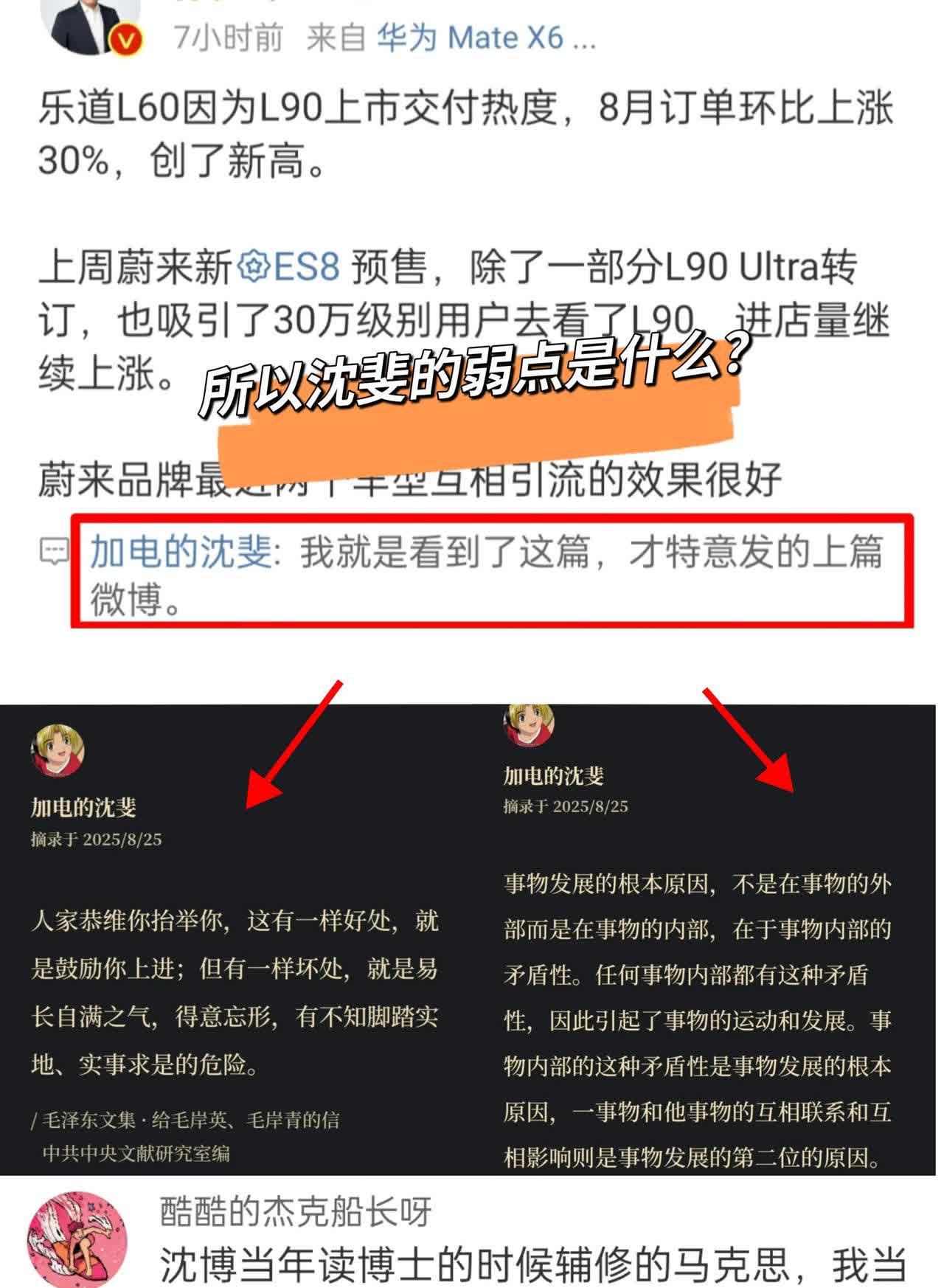 我觉得沈博适合当斌哥的防火墙
 昨天孙少军发了个贴说乐道L60受L90影响订单