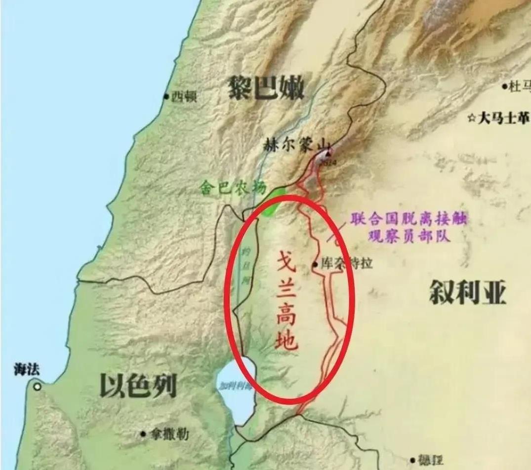 以色列轰炸叙利亚之后，下一步德鲁兹人要公投加入以色列了，美国人写了剧本，俄罗斯优