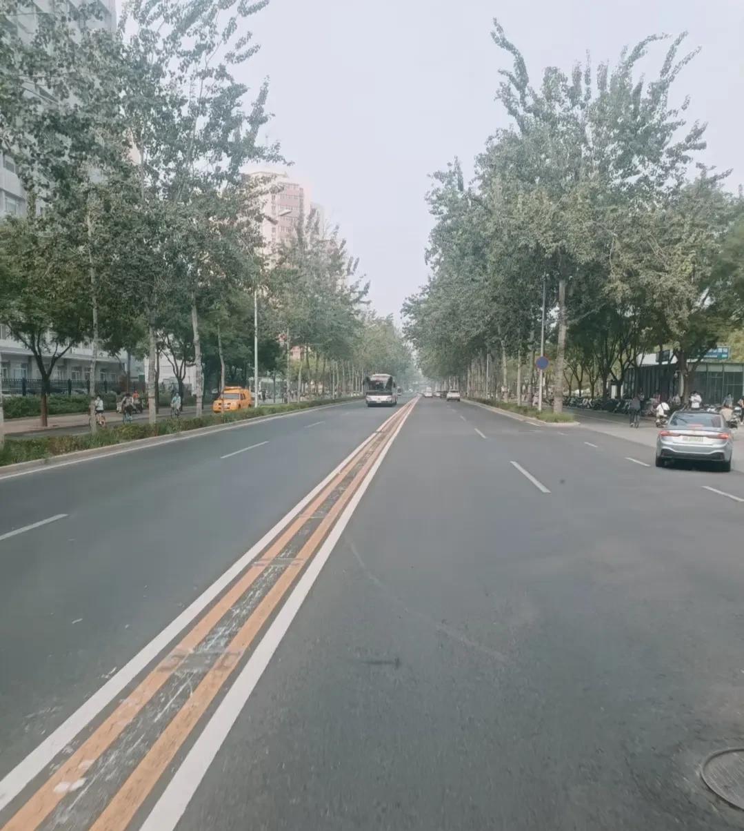 北京马路中间护栏不再安装了吗？印象里应该是大风预警极端天气那天，护栏都被拆除了。