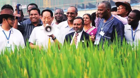 一粒稻谷的万里归途：非洲学生追思袁隆平背后，中国“超级稻”如何改变非洲命脉？
