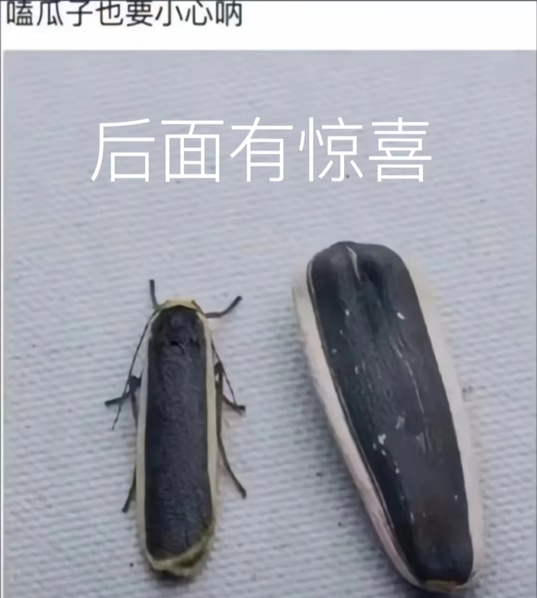 宝子们，千万别往后翻啊！
