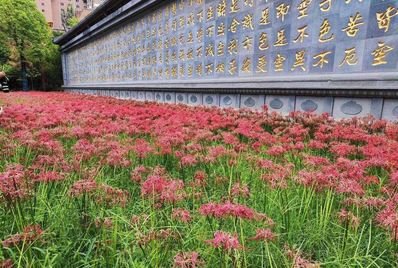 人生是一道减法题
以后，是多久？改天，是哪天？下次是哪次？
身边的人，见一面少一