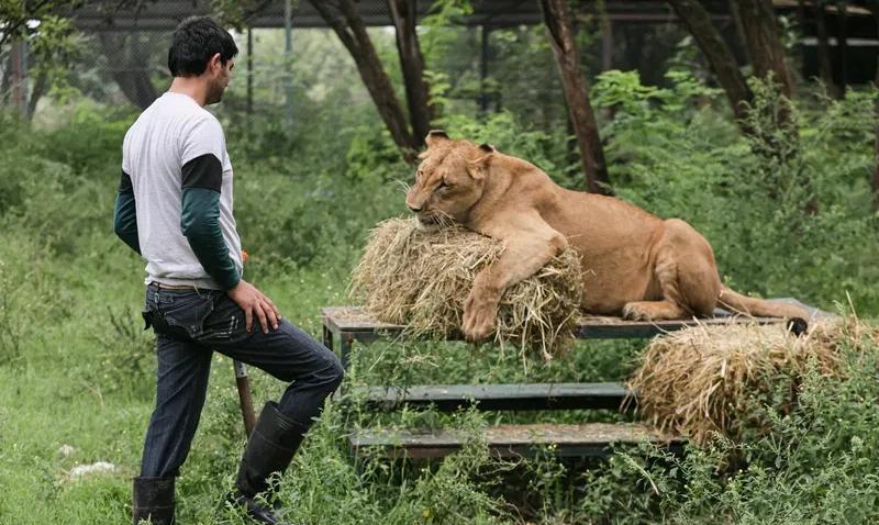 主人怕猪中暑在猪圈装风扇和空调 主人担心猪中暑，于是在猪圈安装风扇和空调。
如今