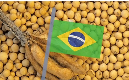 巴西大豆坐地起价，趁着美国大豆制裁中国，报价疯涨3倍！咱们不惯着他，集体暂停订单…