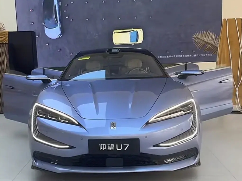 国产豪车排行前10名：

第一名：红旗国礼——718万

第二名：仰望U9——1