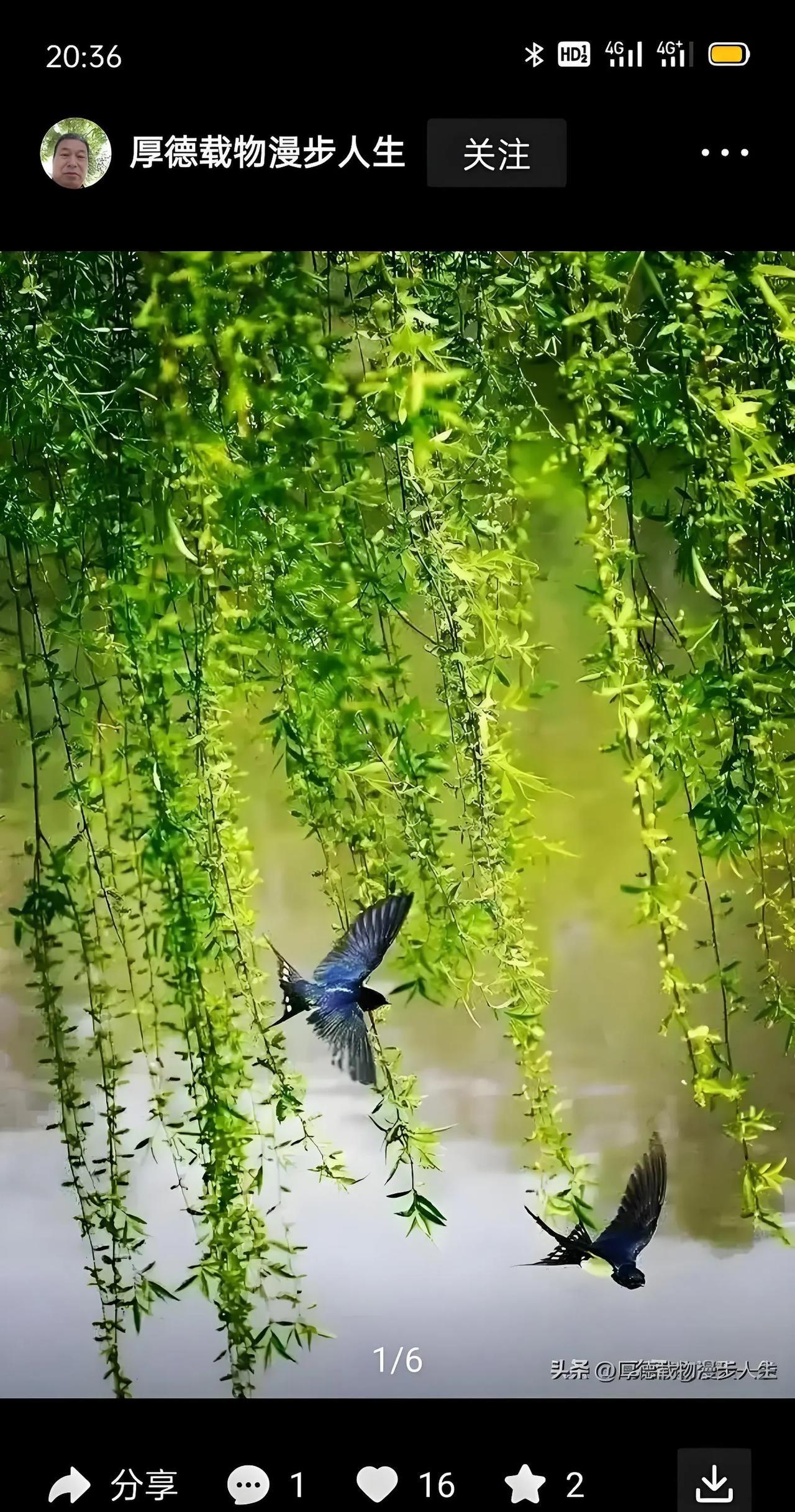 #上联：春来燕子舞晴空，诚邀对下联# 
冬去杨柳摇新绿，
春来燕子舞晴空。