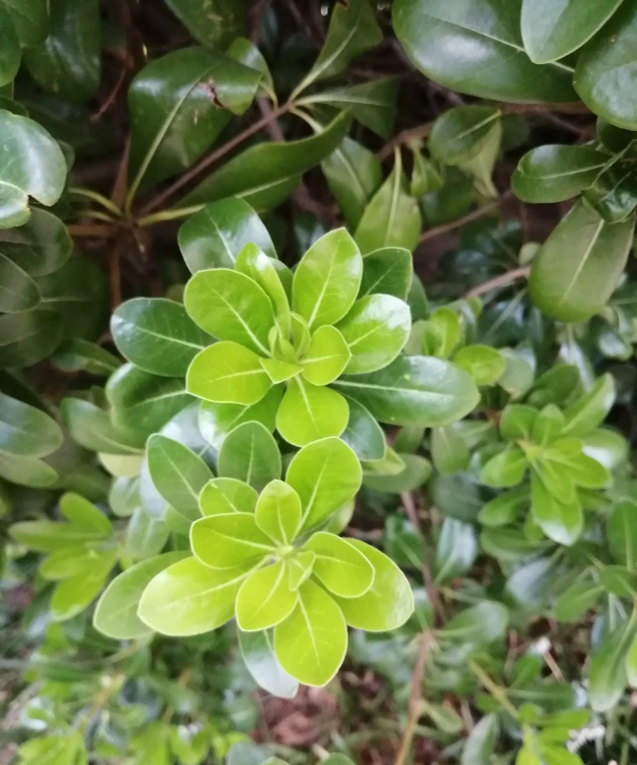 分享日常
分享美好