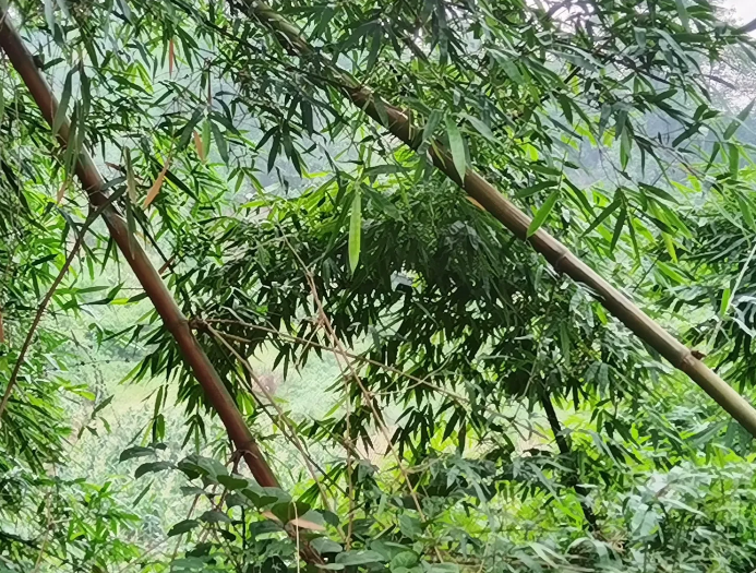 你们发现没有？
如果在一个家庭里面，爸妈都特别抠门。吃穿用度都精打细算。恨不得把