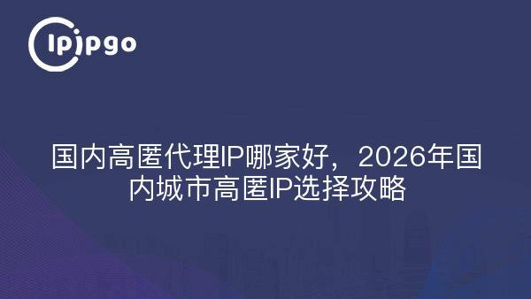 国内高匿代理IP哪家好，2026年国内城市高匿IP选择攻略