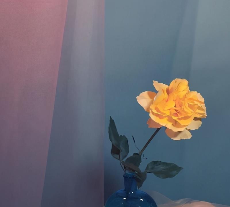姐姐乳腺癌早有迹象，没有文化不懂知识吃大亏
姐姐乳腺癌Ⅱ期才治疗，如果更早发现，
