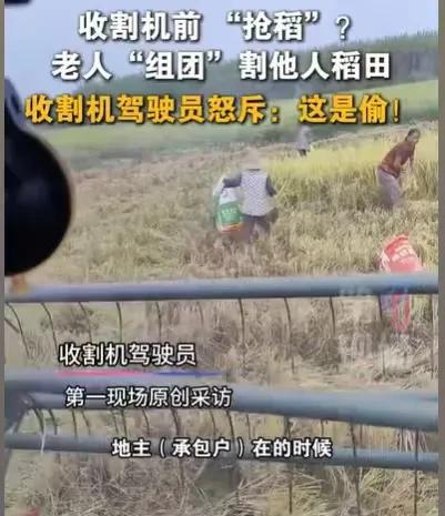“这是偷抢不是捡！”江西吉安，收割机驾驶员，正在争分夺秒地收割稻谷，却看到几个老