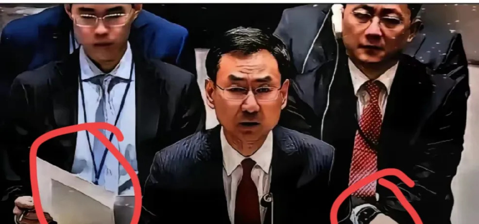 耿爽联合国发言，说出大实话











大事不好了！昨天耿爽在联合国放
