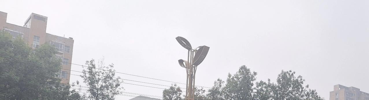 老王转了一圈回来，有点怀念过去商业体制。他认为，商业个体经营虽可调动积极性，却不