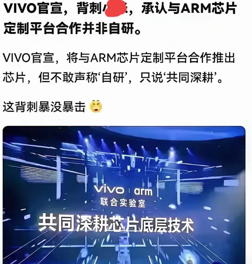 果然，VIVO也来了，用不了多久也会推出自己的芯片，接下来还会有几个公司也会宣布