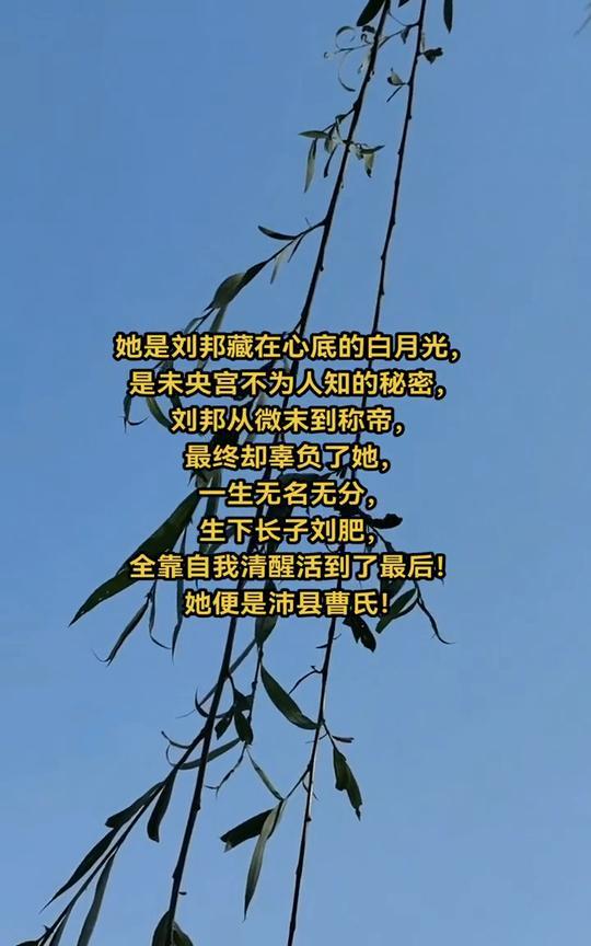 她是刘邦藏在心底的白月光，是未央宫不为人知的秘密。刘邦从微末到称帝，最终却辜负了