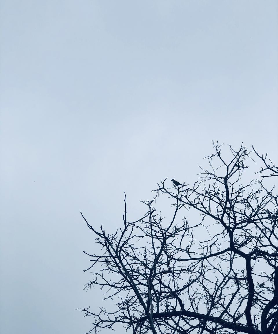 观察发现：
单位里当你身处低位的时候；
你是能够真切发现周围人的真实面孔；
而当