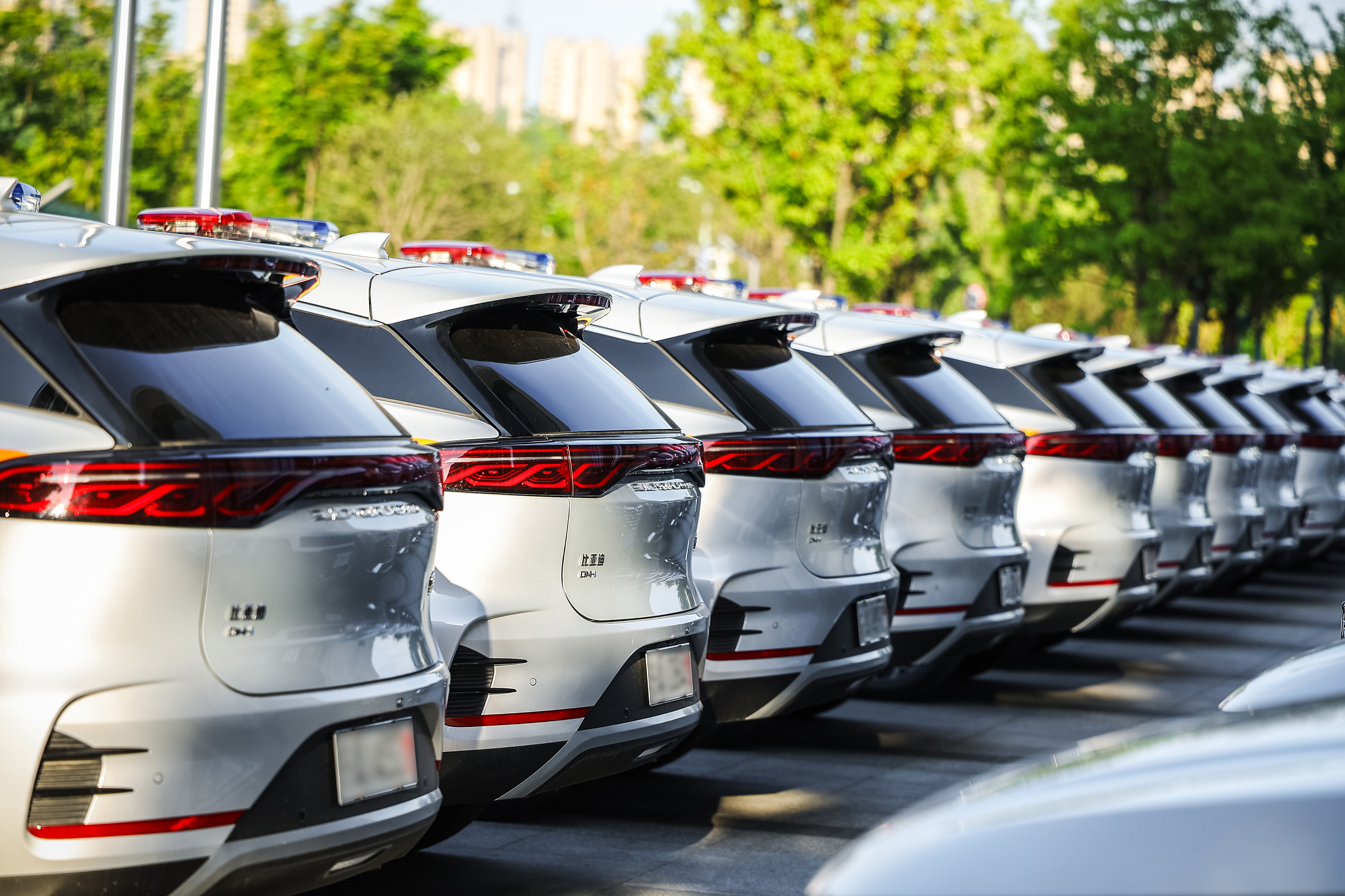 没想到现在街头警车的 “平安色” 有不少已经换成比亚迪了！
汉、唐的 “龙颜美学