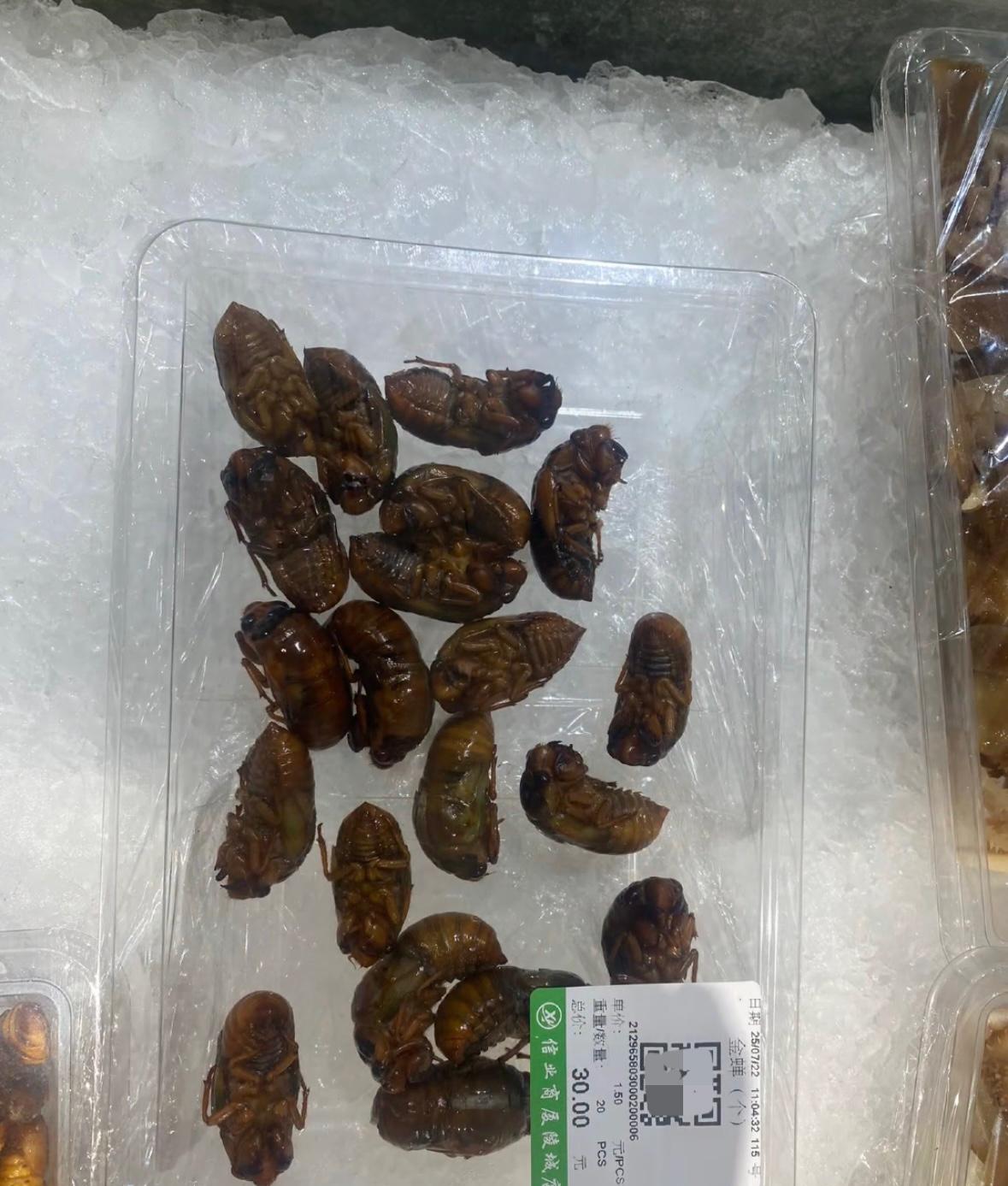 超市20个金蝉卖30元，一个金蝉1.5元比一斤粮食还要贵。
记得小时候金蝉才5分