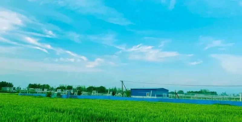 湖北天门3年投入3亿多鼓励生育 湖北天门在3年里投入了3亿多来鼓励生育呢，这投入