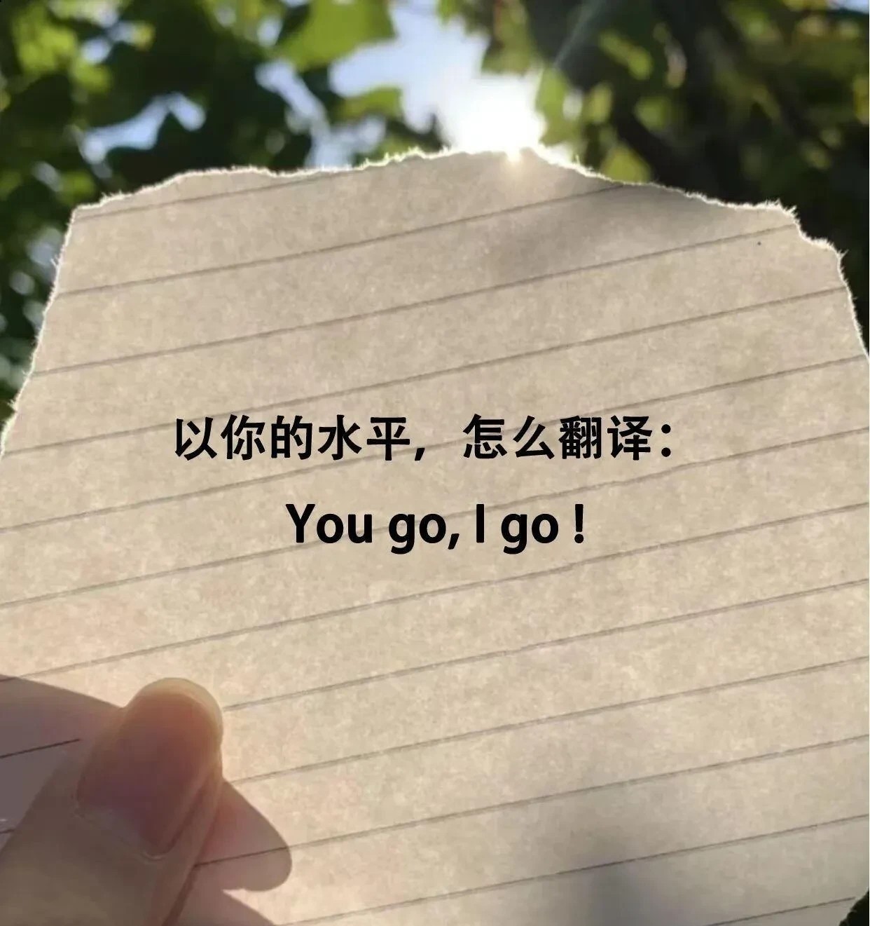 这句英文，用中文要怎么翻译？