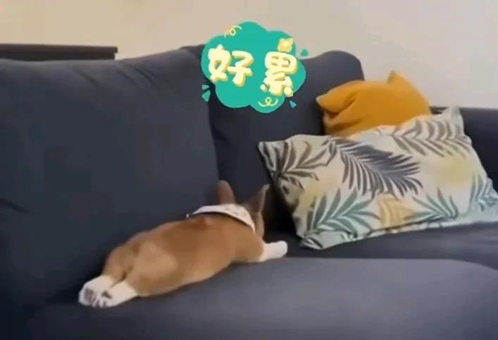 一句话，把我老公惹毛了！
“怎么光有禁酒令，啥时候来个禁烟令就好了”，晚上我就说