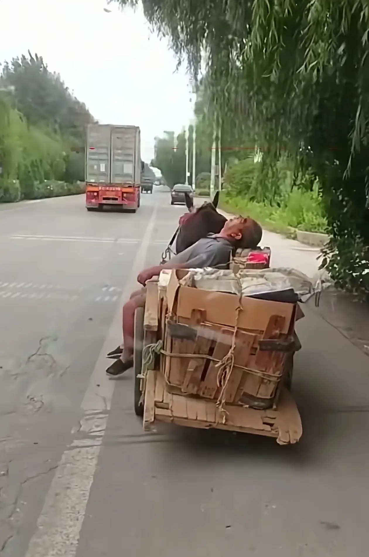 大爷睡着了，这才是真正的无人驾驶