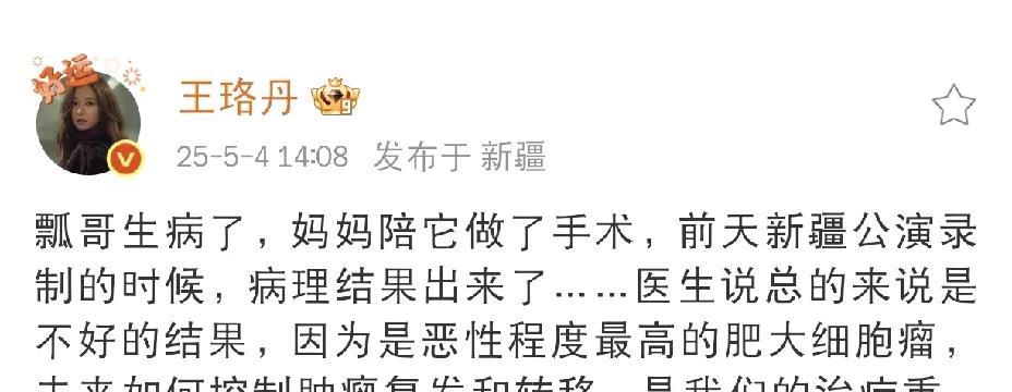 王珞丹，心痛发文！
2025年5月4日下午，演员王珞丹在社交平台心痛发文，字里行