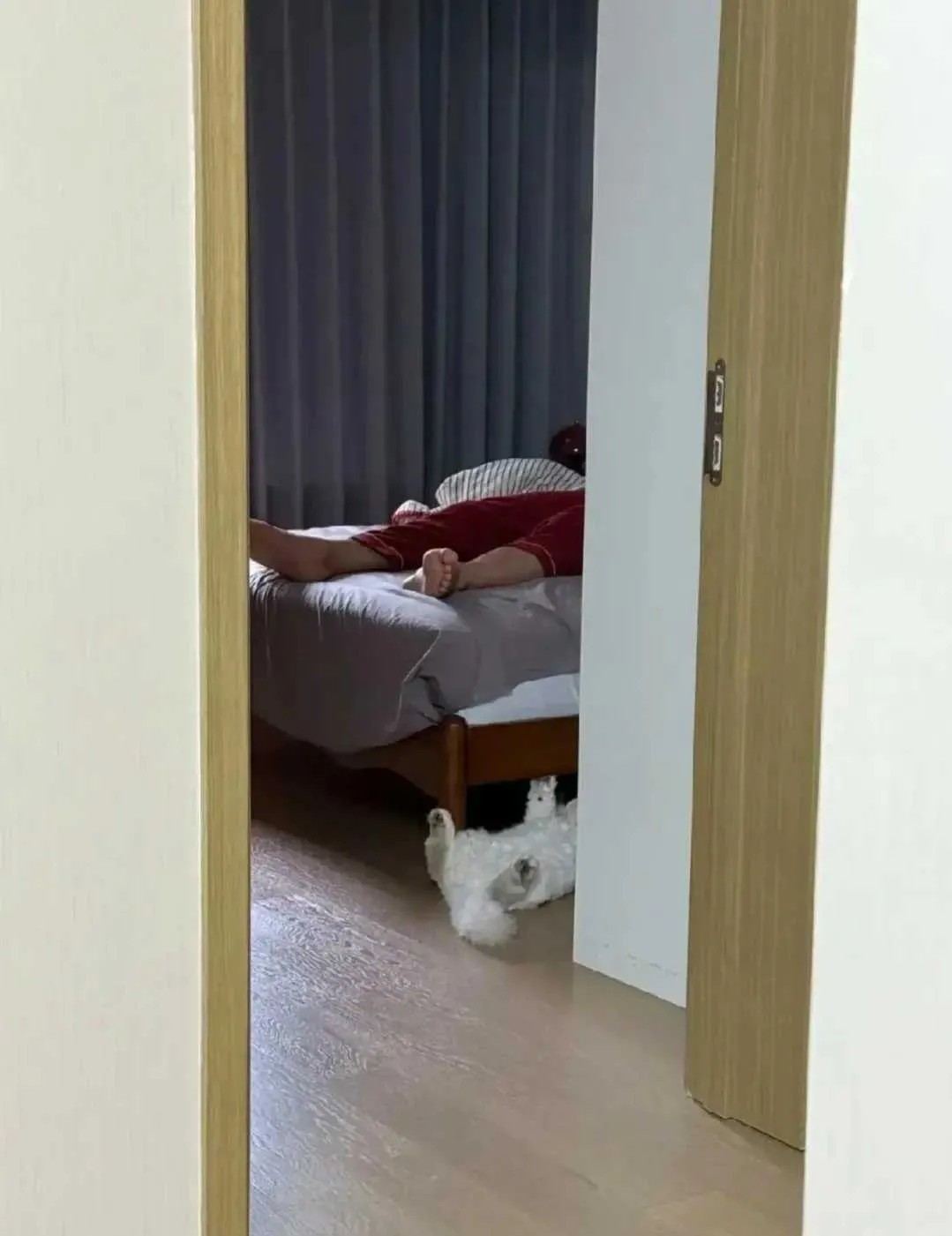 不是一家人，不进一家门。狗随主人了
