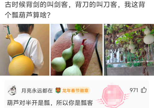 葫芦对半开是瓢，所以你是瓢客