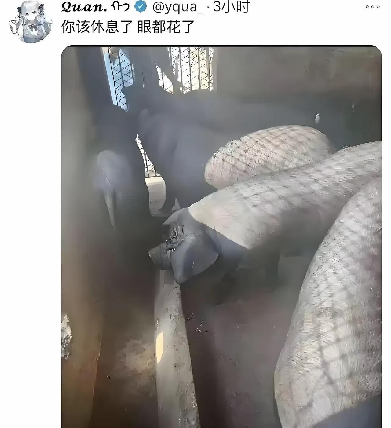 眼镜欺骗了大脑。