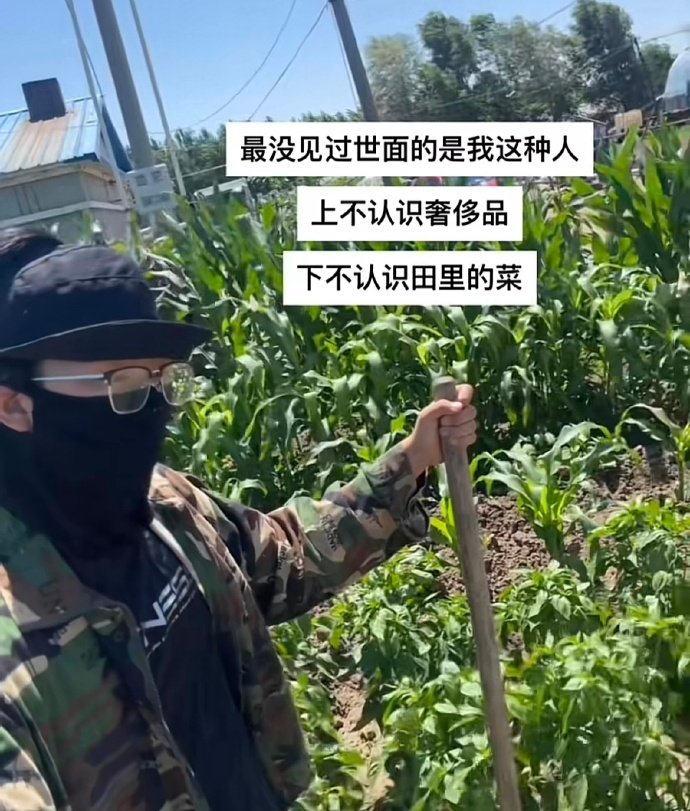 最没见过世面的是我这种人