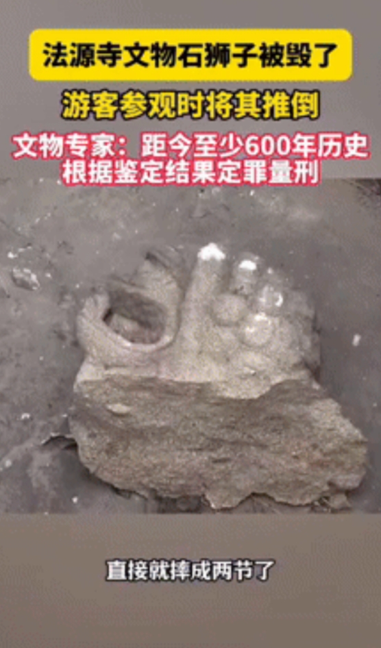 “好奇心害死猫！”北京法源寺，一名游客在参观时，突然上前用手摸起了寺前的小石狮子