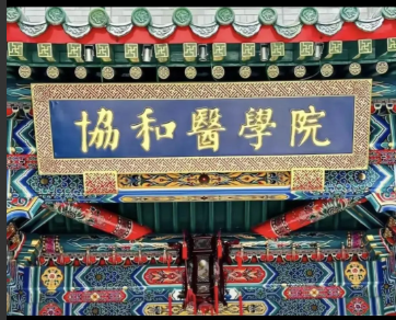 “4+4”肯定是有问题的，要搞起码也应该是“4+5”！不论协和王辰或其它专家怎么