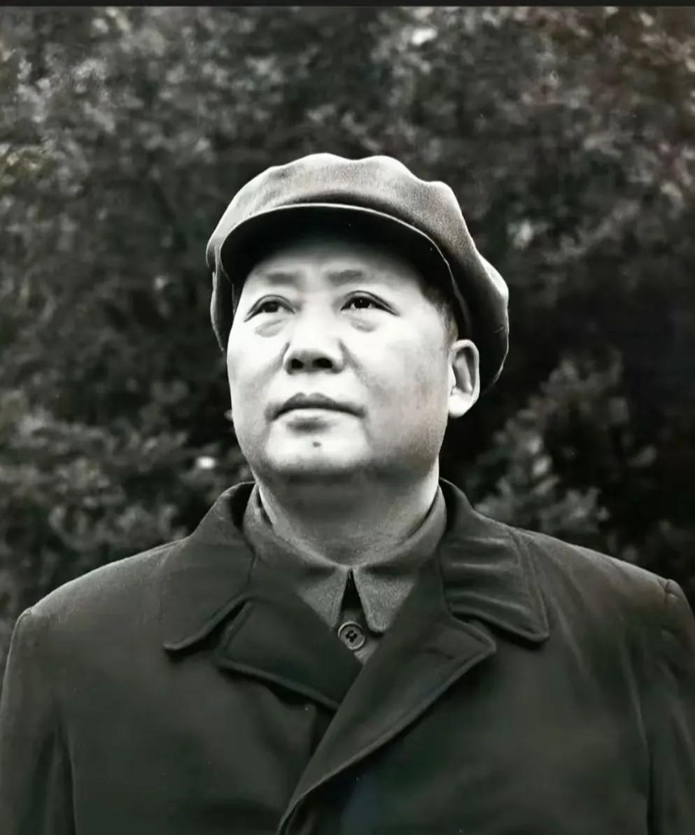 一张可以看一辈子的照片！