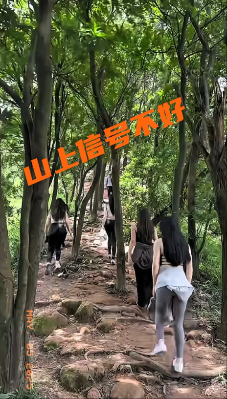 别给我打电话，山上信号不好