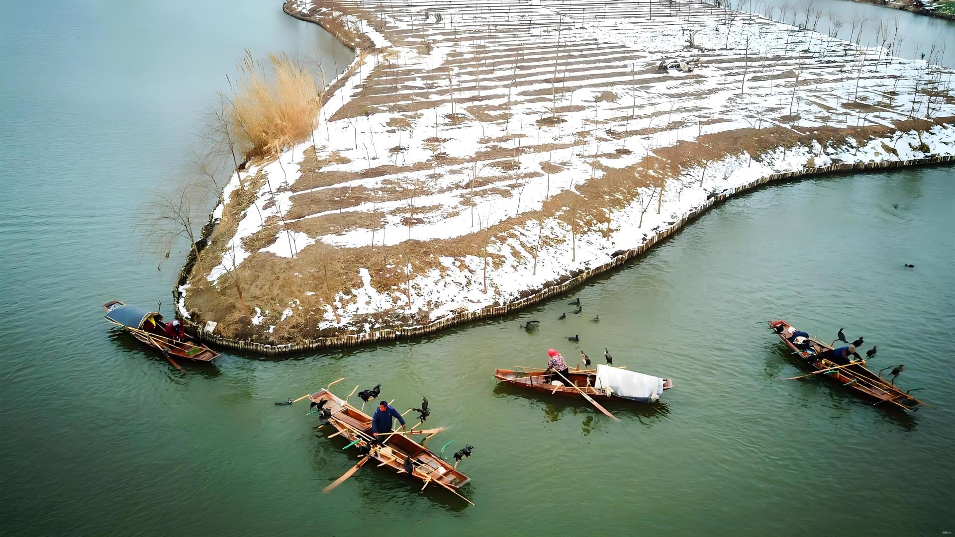 第06篇：冬季巡塘5个要点，每天10分钟减少30%损失