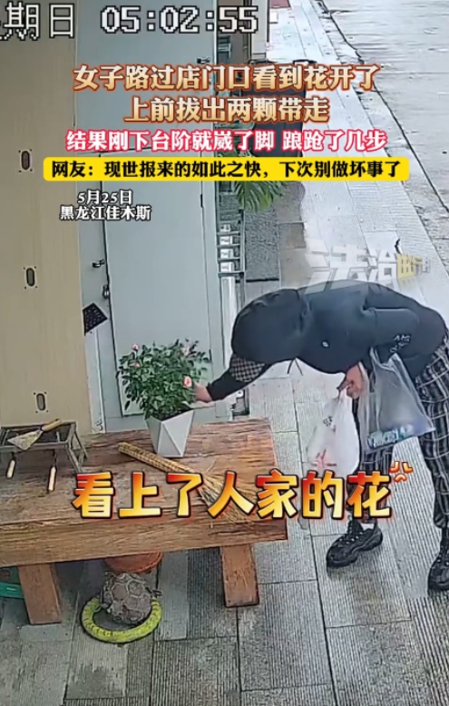 太解气了！”5月25日，黑龙江一女子路过一家店门口，看到门口摆放着一盆花，于是心