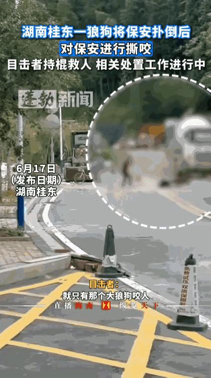“当场击毙！”湖南，男子出去倒垃圾时，突然冲出一条大狗，将他扑倒在地撕咬，男子虽