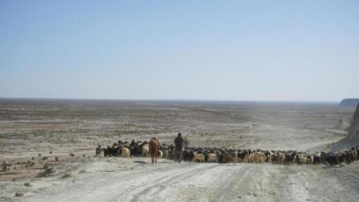 世界三大‘空城’平原：亚马孙雨林人比城市公园少，图兰平原千年绿洲等不来降雨，西西伯利亚石油埋在冻土下