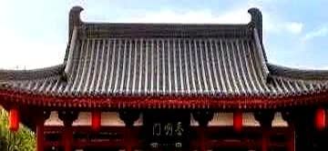 新规来袭，燃油车市场要变天了！

从2026年起，新上市燃油车将面临超严油耗