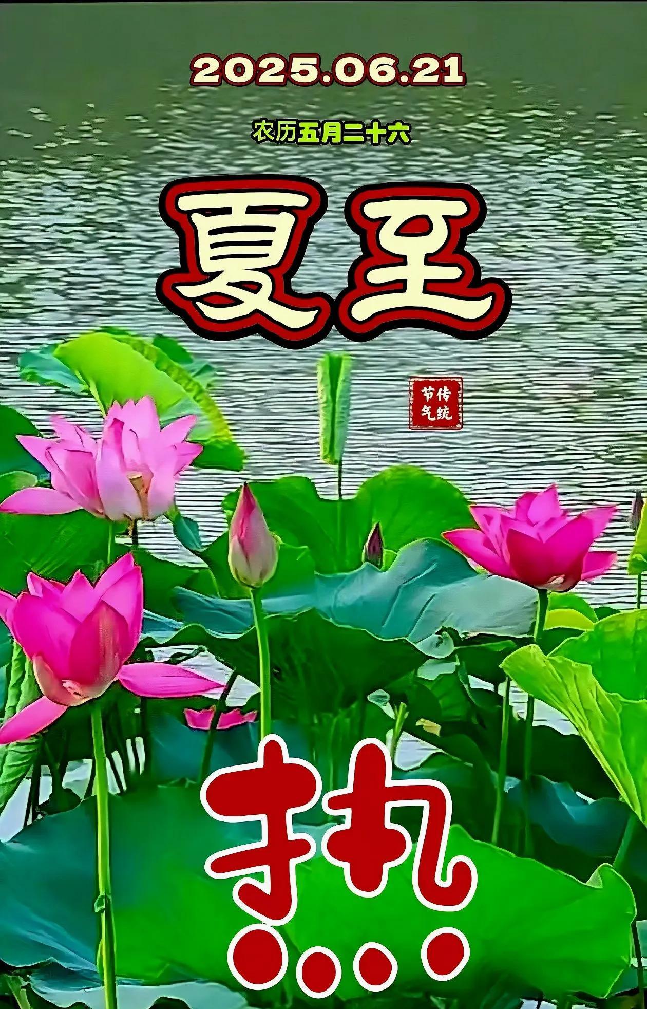 夏至已至，暑气渐盛：心静自然，清凉自生；早睡早起，精神抖擞；午后小憩，精力充沛；