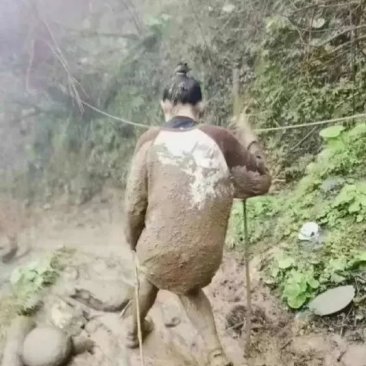 都跟她说了，下雨不要爬山